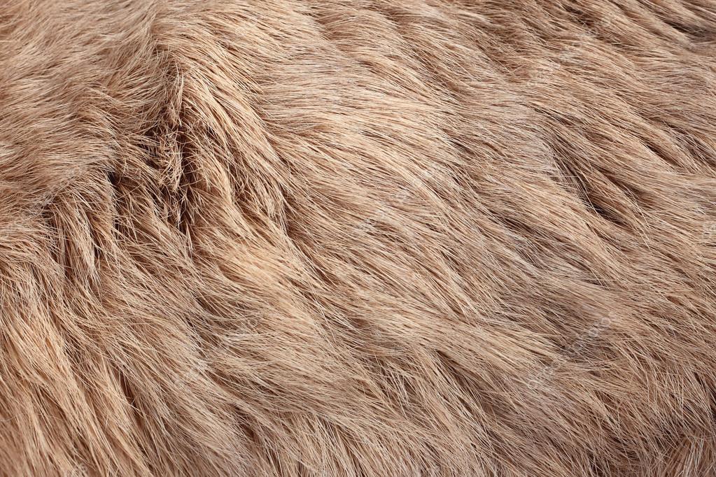 Rabbit fur as background Stock Photo by ©Gap 120551596